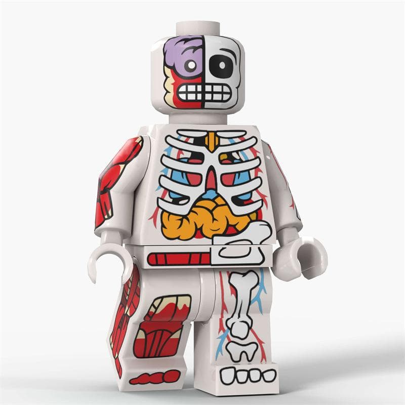 Bag D8005 Anatomical Skeleton Printing Man Assembling Building Block Figure Model Toy