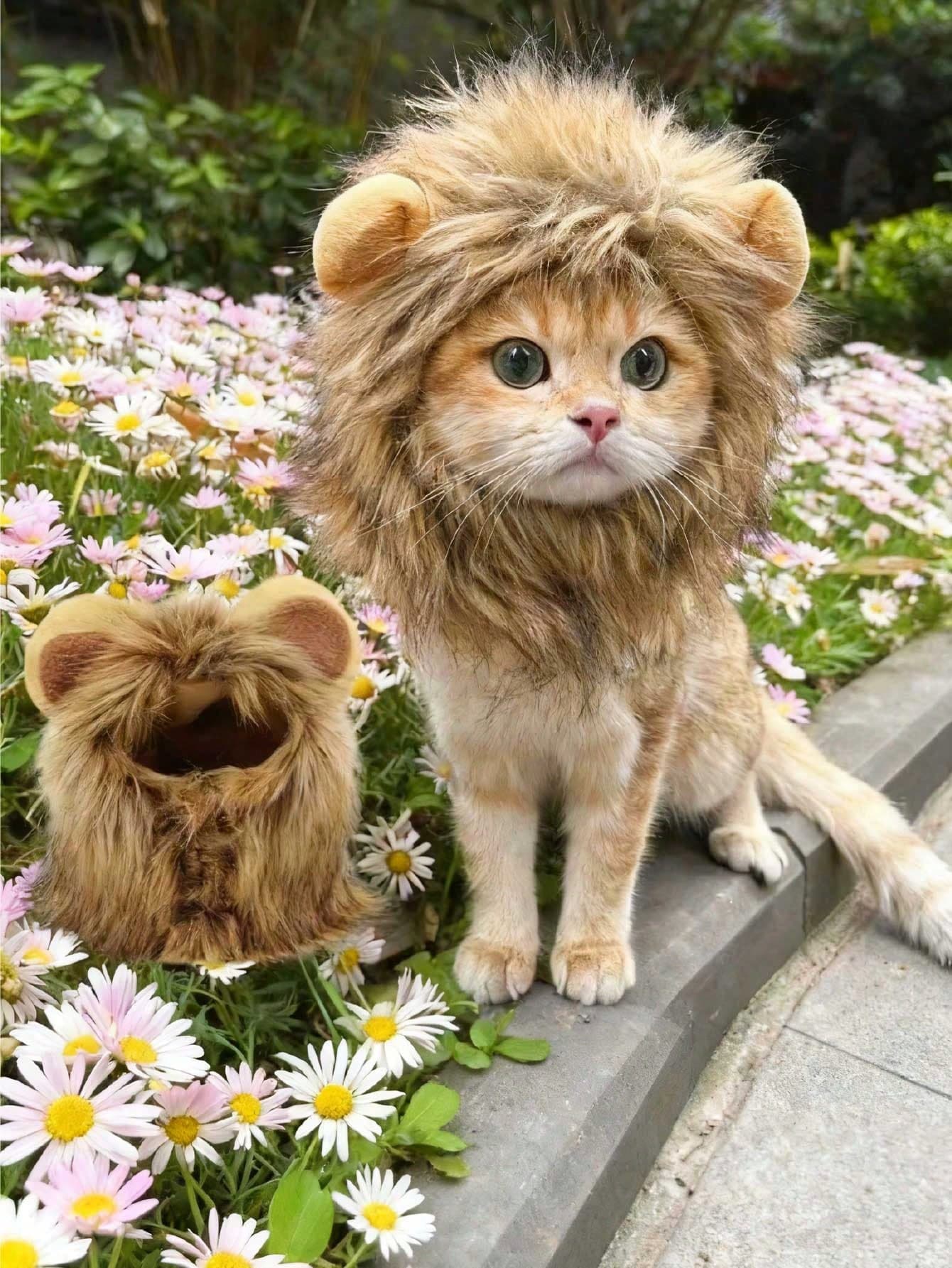 New Cute Funny Pets Clothes Cap Cute Cat Wig Lion Mane Costume Cosplay Kitten Dog Hat With Ears Fancy Party Supplies L brown