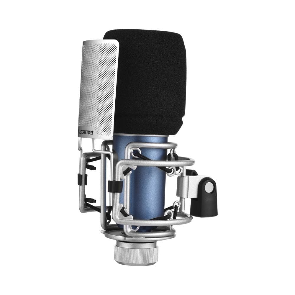 TAKSTAR SM-9 Cardioid-directional Condenser Recording Microphone Metal Structure Wide Frequency blue