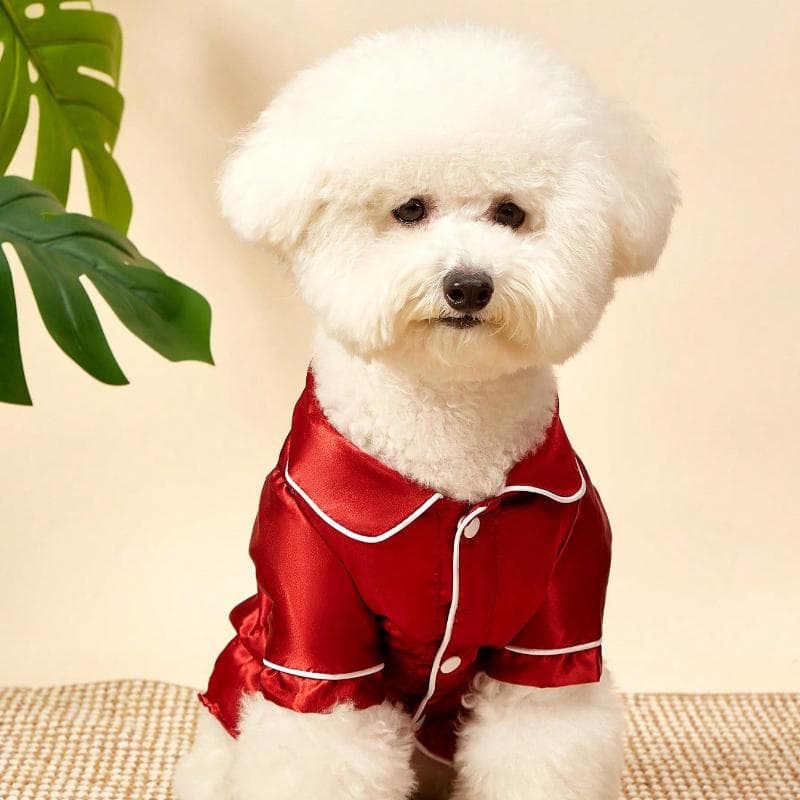 A Pet Non Stretchy, Lightweight, Breathable and Comfortable Home Sleepwear Suitable for Small Dog Breeds Such As Teddy Bears To Wear All Year Round XS burgundy