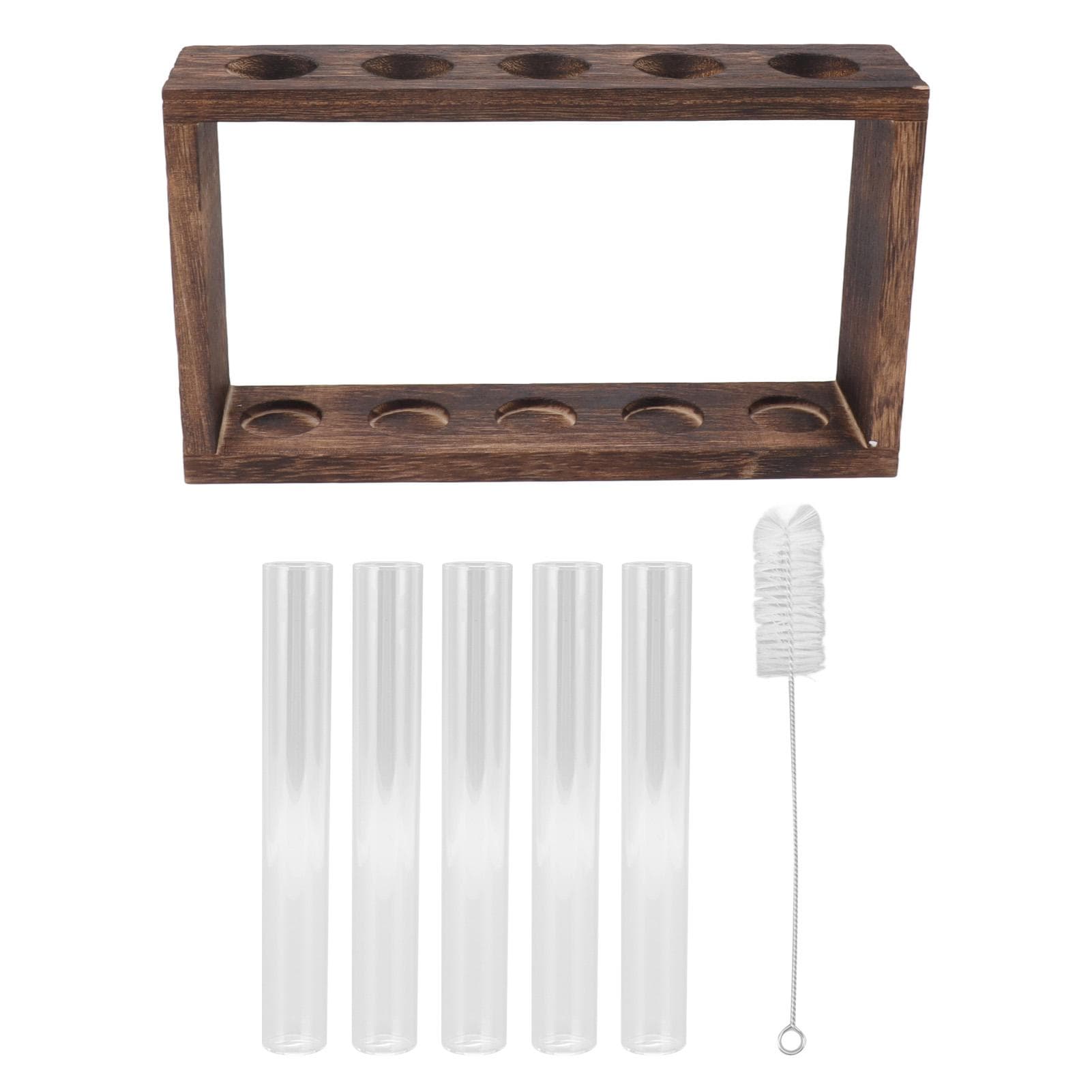 5 Test Tube Plant Terrarium Transparent Observe Growth Status Water Plant Holder with Wooden Stand
