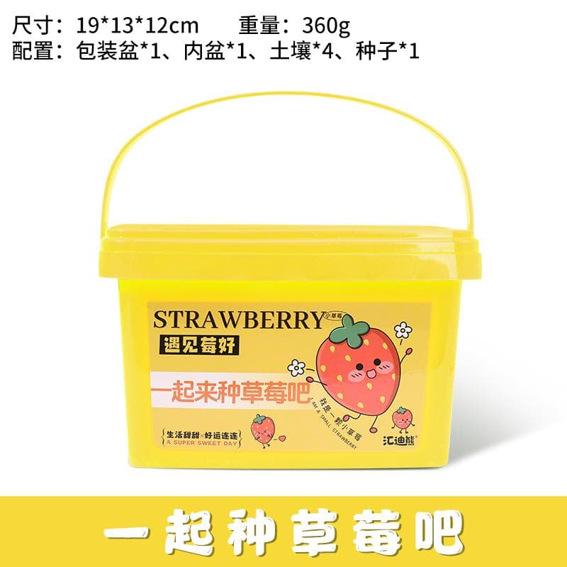 Children grow small potted fruit strawberry baby mini plant sprout farm growth observation box scientific practice strawberry