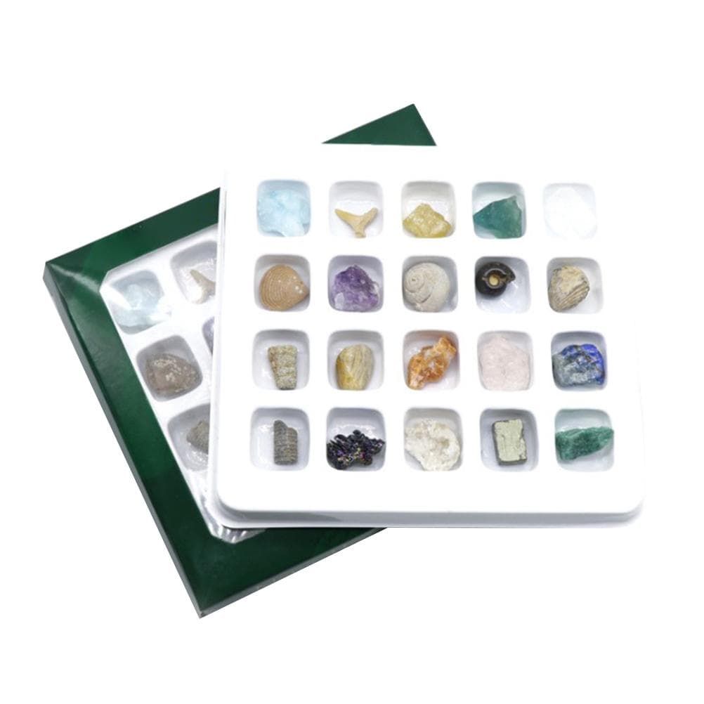 20 kinds of Mini Size Natural Crystal Agate Stone Rocks Minerals Fossils Kids Teaching Materials