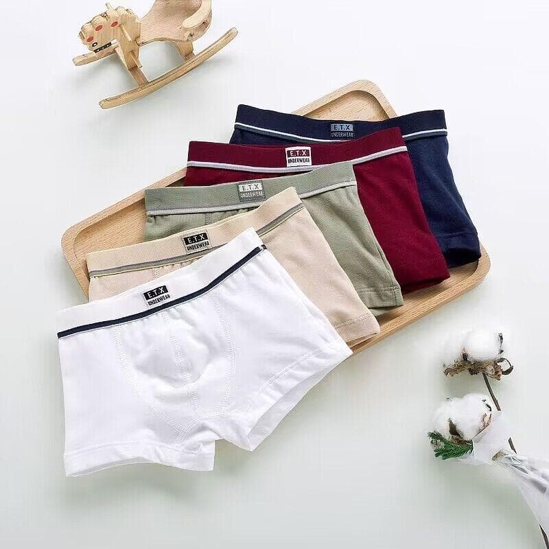 5Pcs Boys Underwear Boxer Kids Shorts Panties Cotton Boys Underpants 100-160 120 multicolour