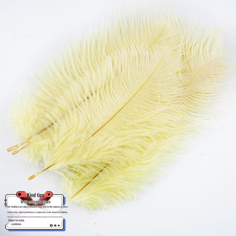 Large 15-20cm Ostrich Feathers for Wedding Arrangements and Stage Props