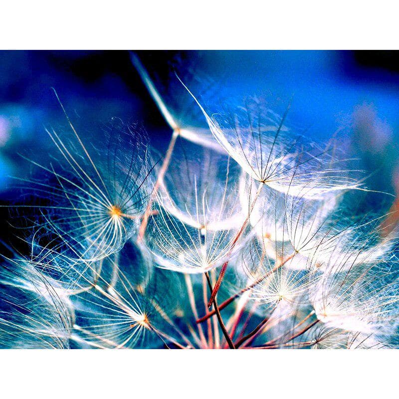 Full Round Drill Diamond Embroidery White Dandelion 5D DIY Diamond Painting Cross Stitch Rhinestone 20X30CM