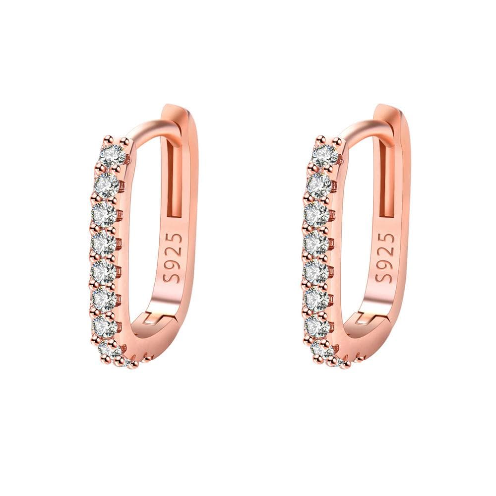925 Sterling Silver Crystal Jewelry Fashion Zircon Circle Hoop Earrings For Woman New XY0179 rose gold