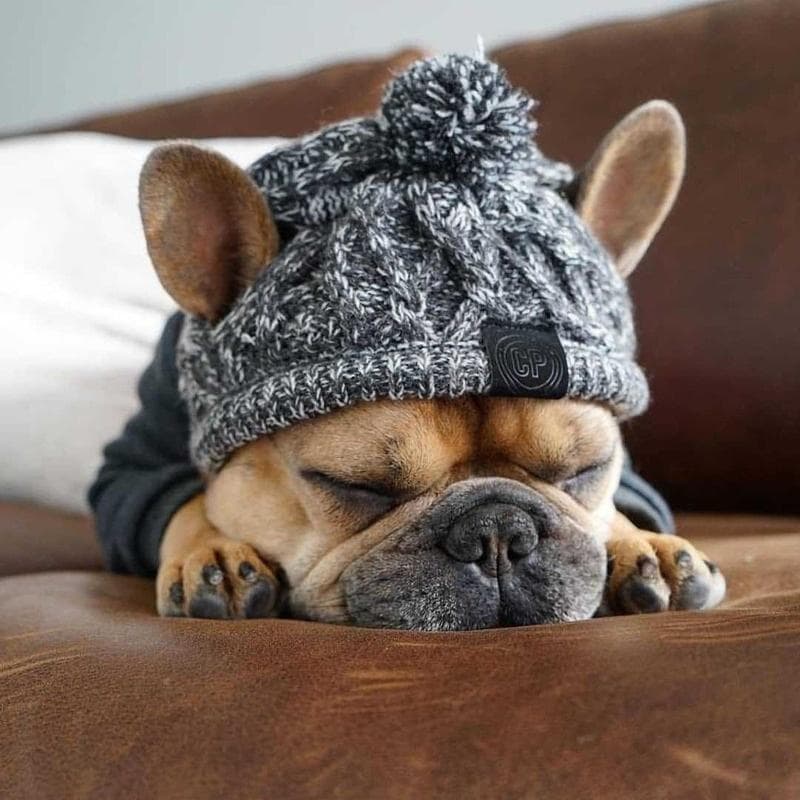 Winter Pet Dog Hat Cap Christmas Warm Windproof Pet Hats Woolen Dog Accessories For Small Medium Dogs Hat French Bulldog Outdoor L grey