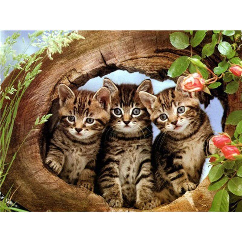 5D Diamond Painting Cat Full Round Drill DIY Diamond Embroidery Cross Stitch 20X30CM