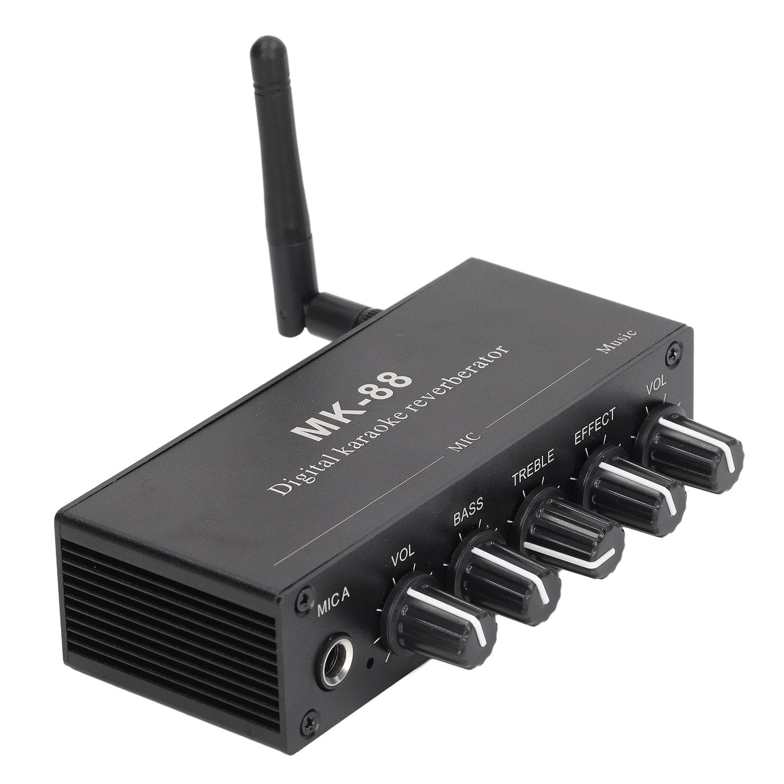 Digital Reverberator Stereo Amplifier Bluetooth 5.0 Dual Microphone Input DC 12V