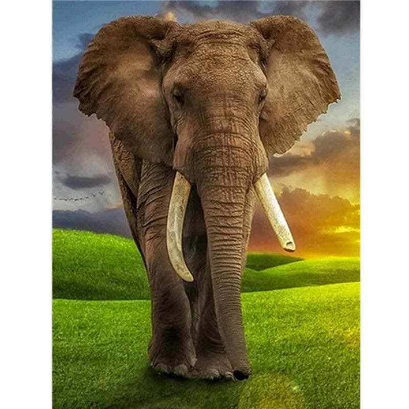 3D Diy Diamond Painting Full Drill Rhinestone Mosaic Handmade Needlework Elephant Diamond Embroidery 20X30CM