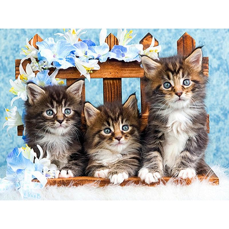 Diamond Painting With Round Stones Animals Pictures With Rhinestones New Diamond Embroidery Cat 20X30CM