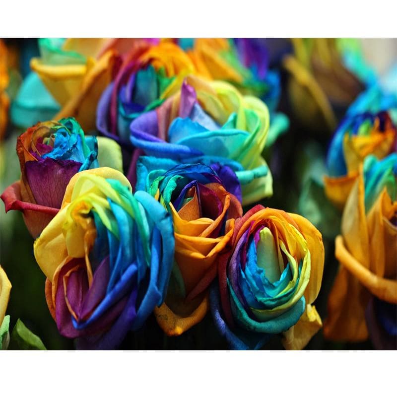 Diamond Embroidery Mosaic Painting Kits Wall Cross Sticker Colorful Roses Picture Home Decor 20X30CM