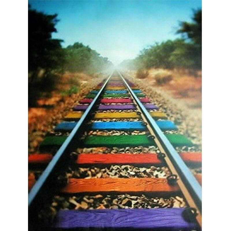 Diy Diamond Painting Water Color Rail Diamond Embroidery Animals Art 5d Diamond Pictures 20X30CM