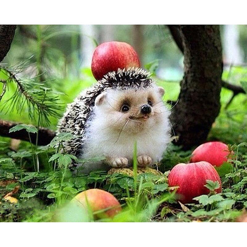 Diamond Embroidery Diamond Icons Diamond Painting Cross Stitch Christmas Decor Hedgehog and Apples 20X30CM