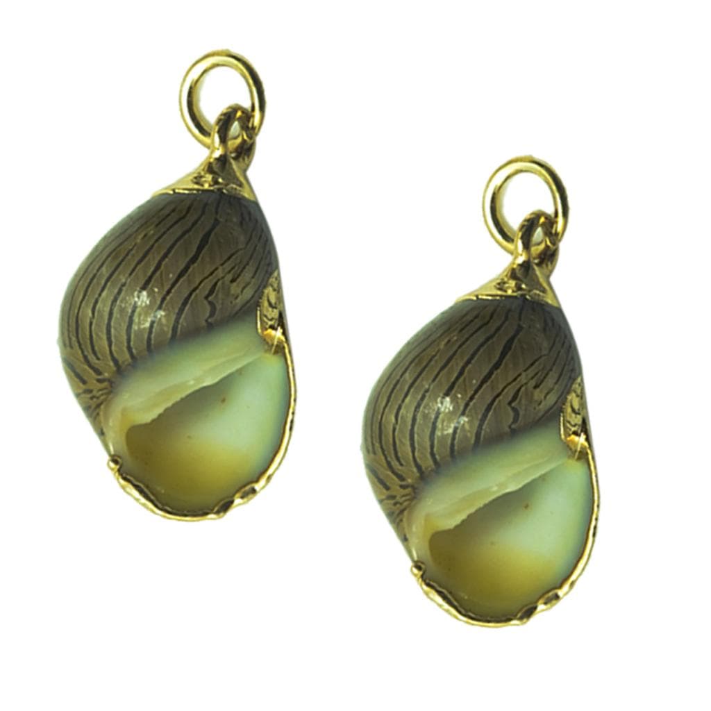 Natural plated Earring Pendants 2Pcs/Pack Water Drop Conch multicolour