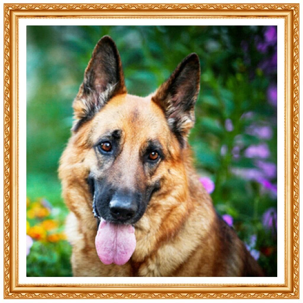 Full 5d Diamond Embroidery Home Decor Dog Resin Dog Diamond Painting Cross Stitch Diamond Needlework 20X30CM