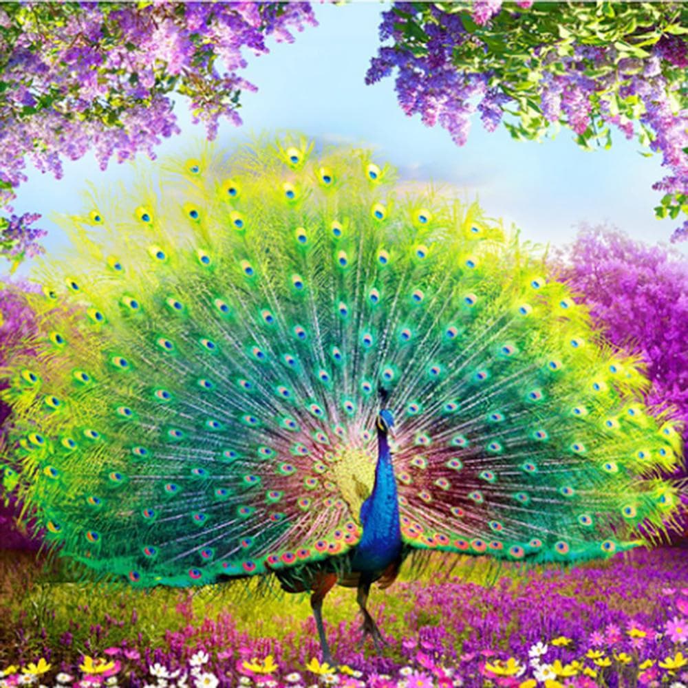 Diamond Painting Beautiful Peacock Full Round Diamonds Embroidery for Living Room Home Decor 60x60CM