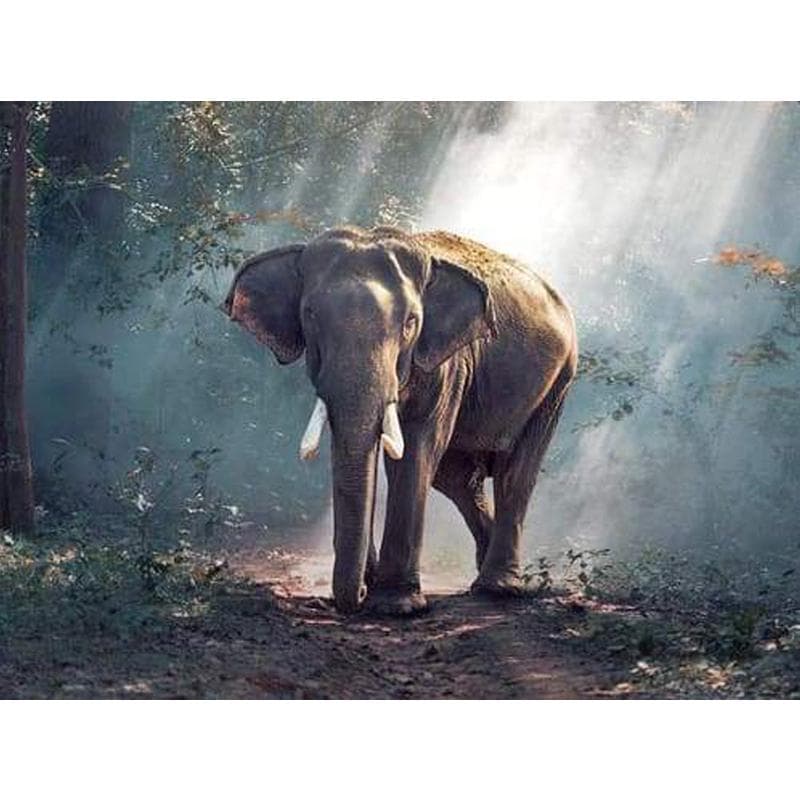 Diamond Embroidery 5D Diamond Craft Painting Rhinestones Elephant Embroidery Diamond 20X30CM