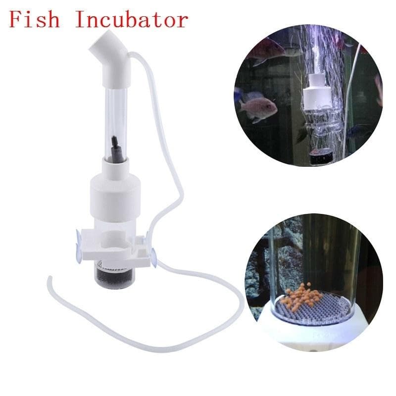 Clear Aquarium Tumbler Incubator Fish Eggs Hatchery for Fish Aquarium Tools