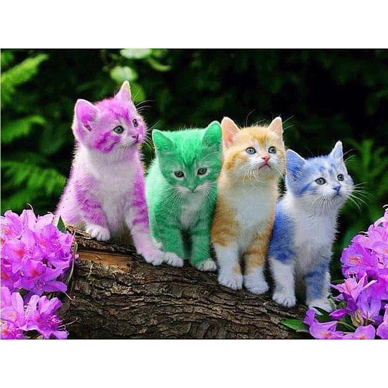 5D DIY Diamond Painting Coloured cat Embroidery Cross Stitch Rhinestone Mosaic Home Decor 50X70CM