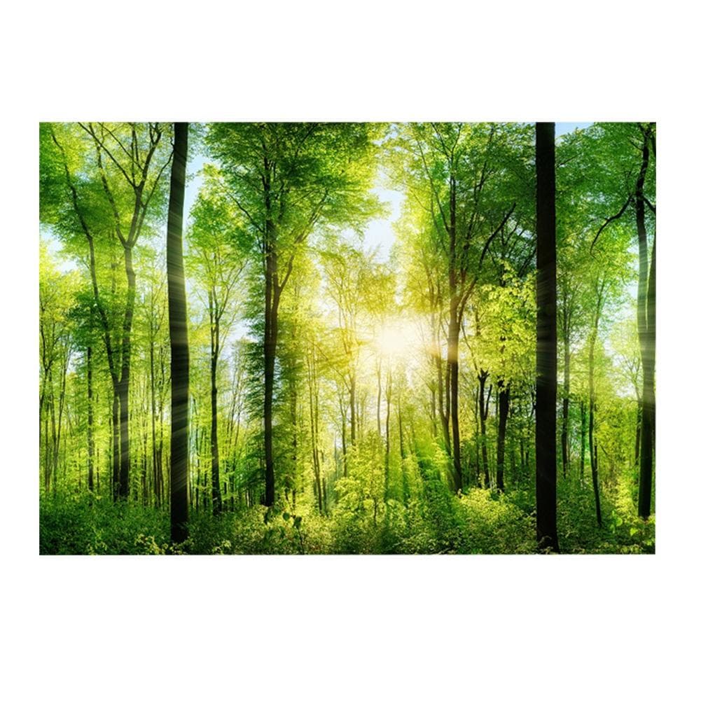 3D Effect Adhesive Forest Poster for Aquarium Fish Tank Decoration 61 x 41cm