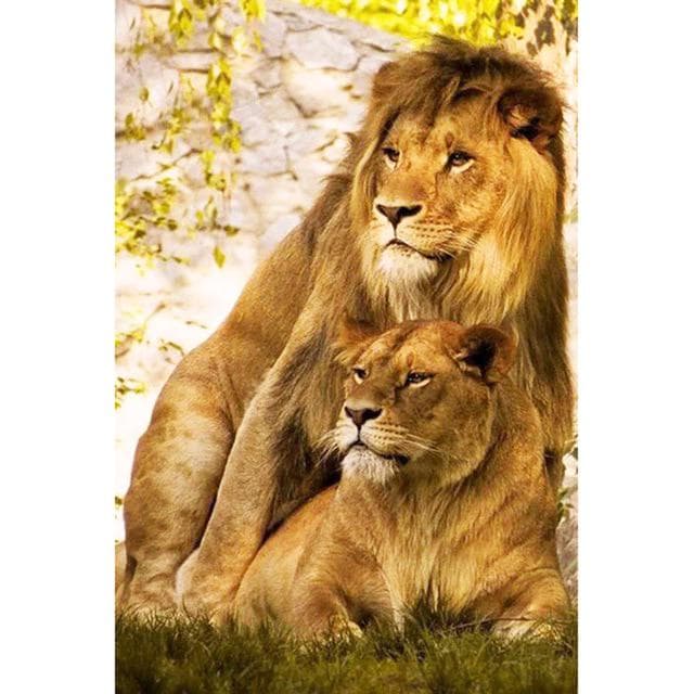 5D DIY Diamond Painting Animal Lion Diamond Embroidery Cross Stitch Home Decoration 20X30CM