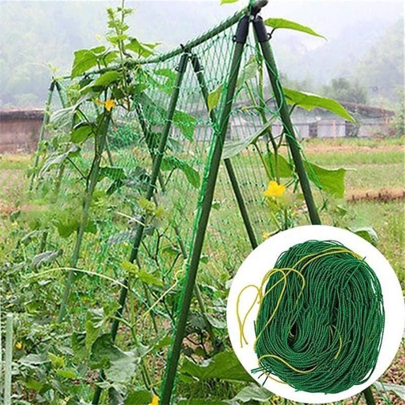 4 Sizes 27 Strands of Horticultural Plant Climbing Vine Net Ipomoea Nil Climbing Flowers Climbing Rattan Ropes For Plants 0.9m*1.8m green