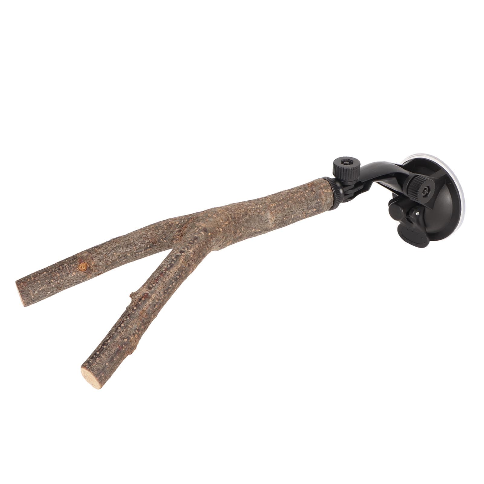 Bird Branch Perch Stand Training Interactive Prevent Slip Wooden Parrot Perch with Suction Cups for 20cm / 7.9in