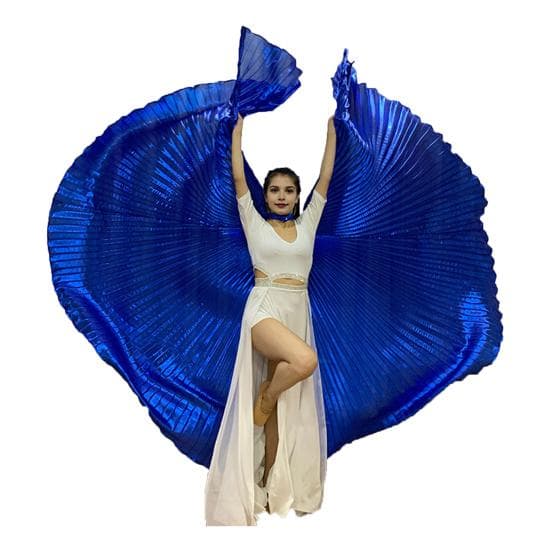1 Set Performance Telescopic Rod 360 Wings Egyptian Degree Belly Dance Cape with Costume Pleated Bright royal blue
