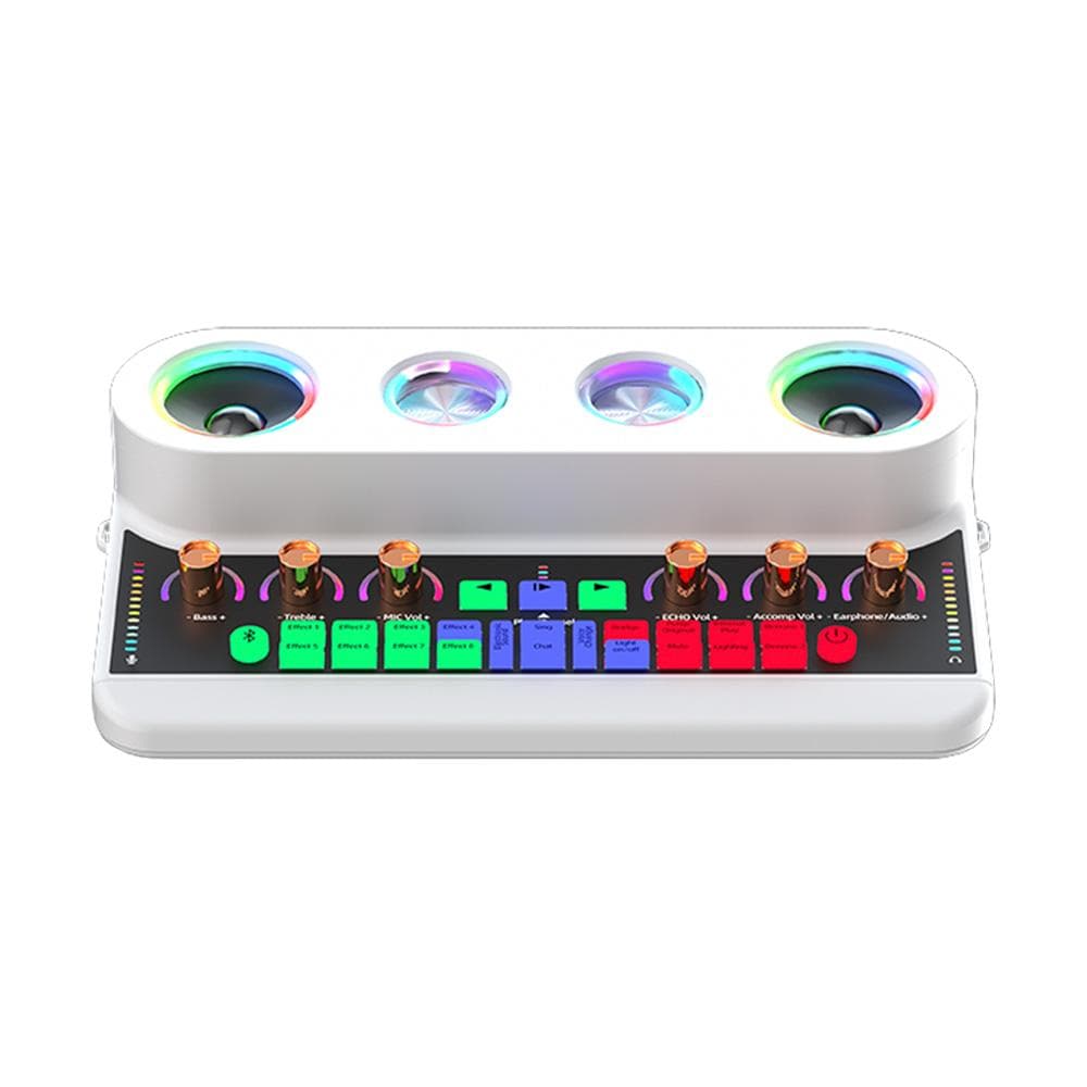 Sound Card & Audio Podcast Equipment Portable Karaoke Machine Multifunctional Rechargeable BT Sound W-2