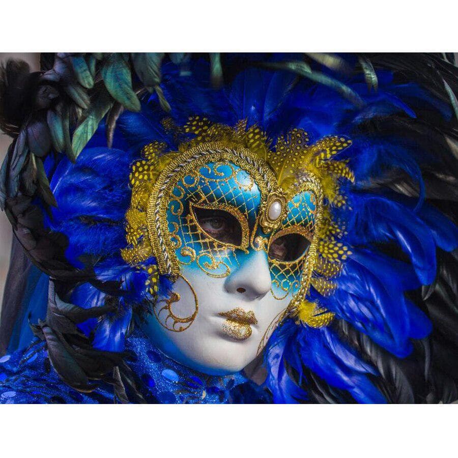 DIY Diamond Painting Cross Stitch Woman Mask Diamond Embroidery 20X30CM