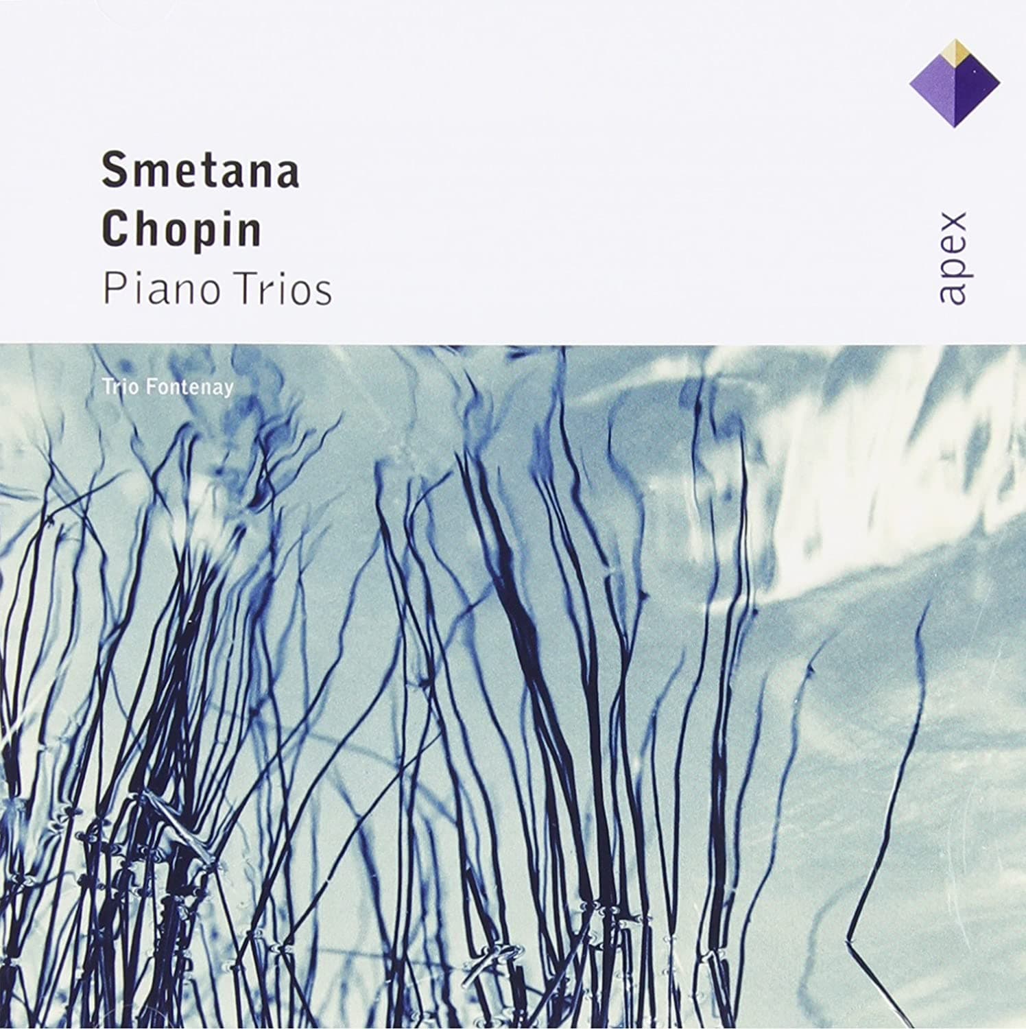 CD FONTENAY TRIO,BEDRICH SMETANA; FRYD - Chopin: Pno Trio / Smetana: Pno Tri 0927408222 Apex 2002 Non Japan Classical Used
