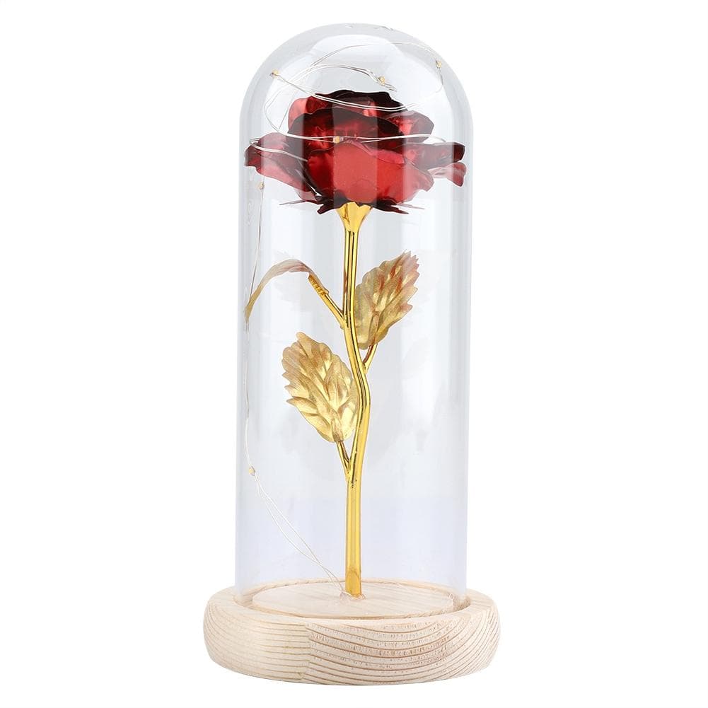 Preserved Rose Flower LED Light with Glass Cover & Wooden Base Valentines Day Wedding Red red