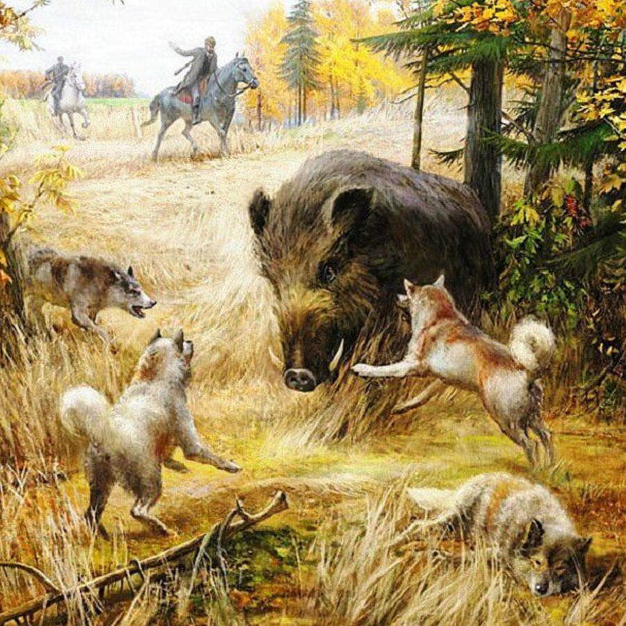 5D DIY Diamond Painting Wild Boar and Dog‘’ Diamond Embroidery Animals Cross Stitch Home Decor Gift 30x30CM