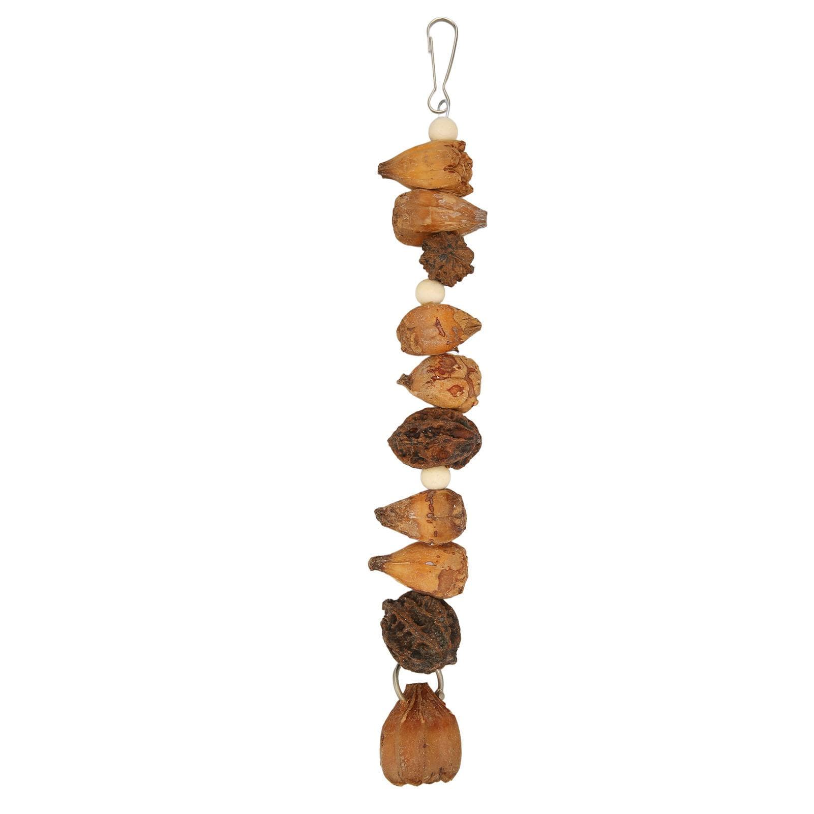 Bird Chew Toys Grinding Mouth Bite Resistance Logs Natural Nuts Hanging Parrot Chew Toys for