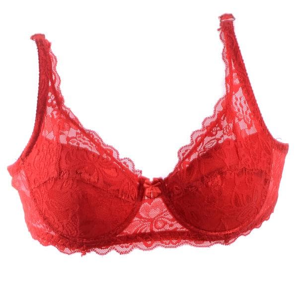 2025 Women Sexy Underwear Lingerie Ultrathin Cotton Lace Bra Deep V Push Up Brassiere Breathable 90B