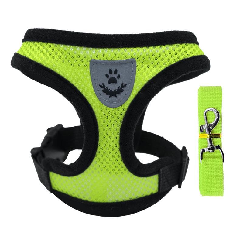 Pet Walking Harness: Explosion-Proof Chest Harness & Traction Collar for Dogs and Cats. L (8-12 lbs)