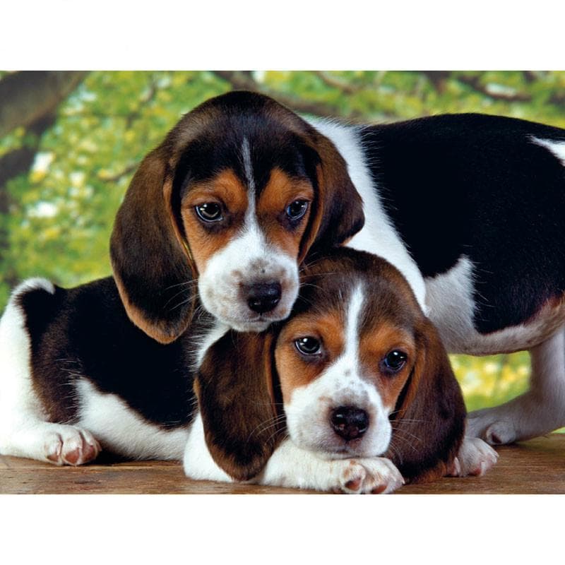5D DIY Diamond Painting Cute Dog Diamond Embroidery Mosaic Cross Stitch Rhinestone 20X30CM