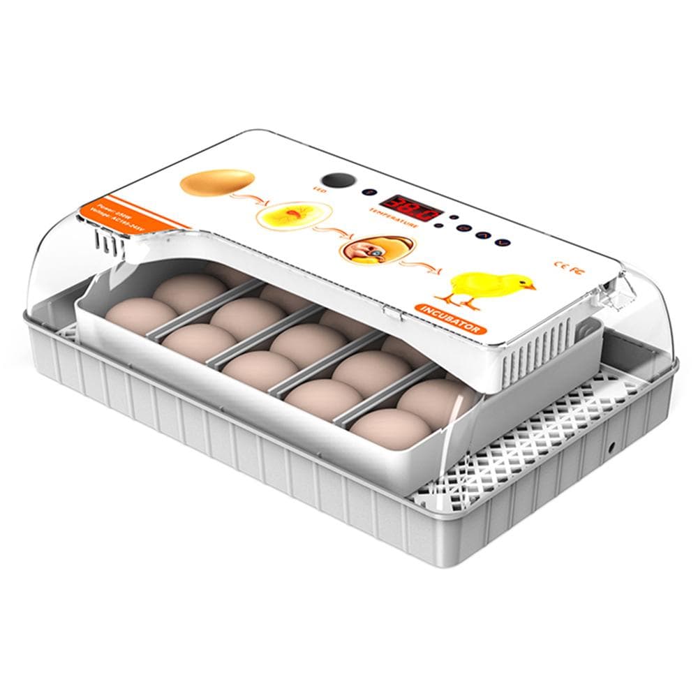 Incubator for Hatching Eggs Automatic Egg Turning 20 Eggs LED Efficient Egg Illumination Display US Plug white