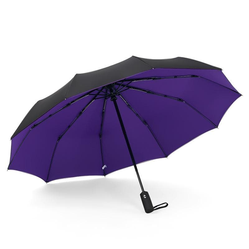 Fully Automatic Rain Windproof Double Layer Resistant Umbrella Men Women 10K Strong Large Umbrellas Parasol purple
