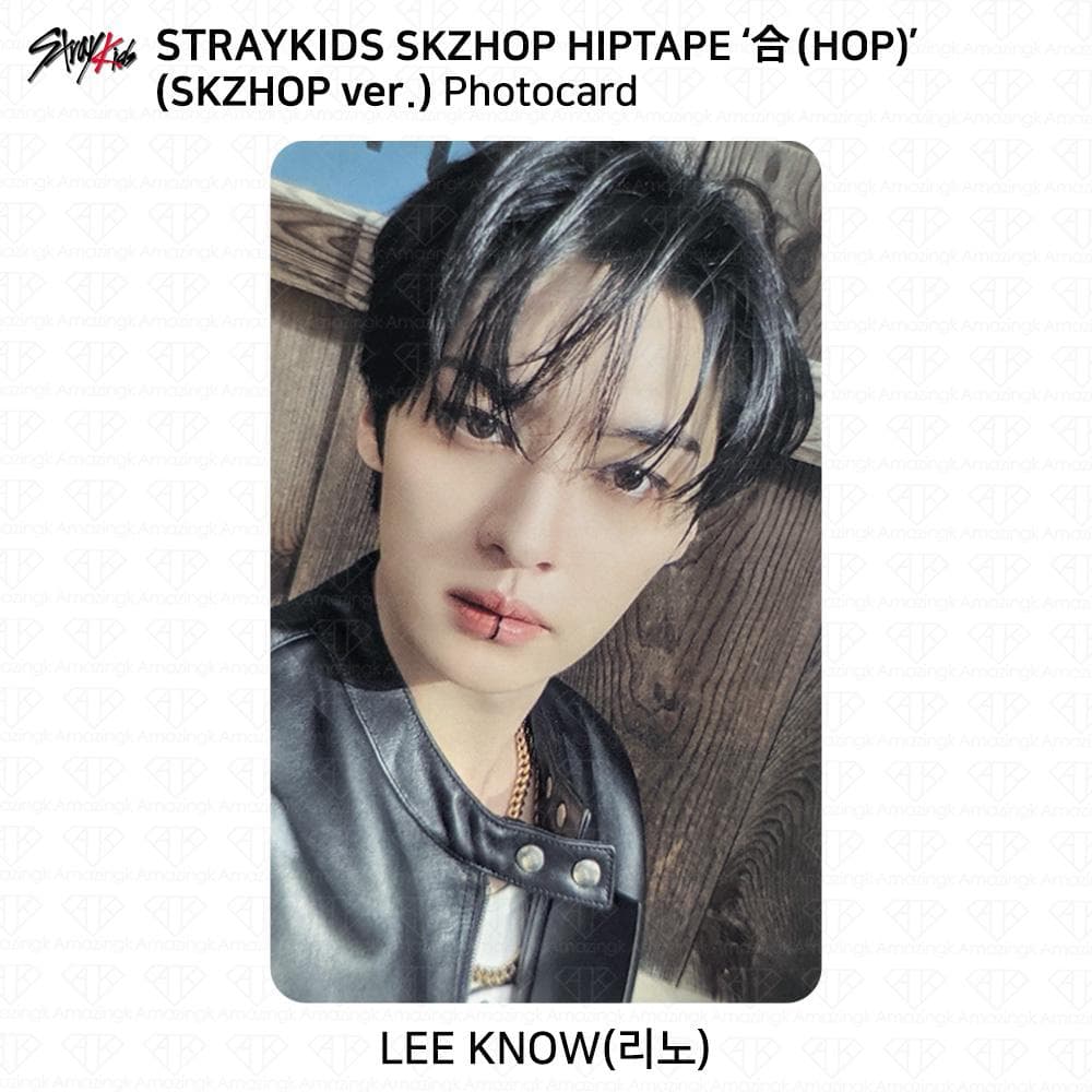 Stray Kids SKZHOP HIPTAPE HOP Accordion Official Photocard Unit Monochrome Leeknow - Skzhop ver