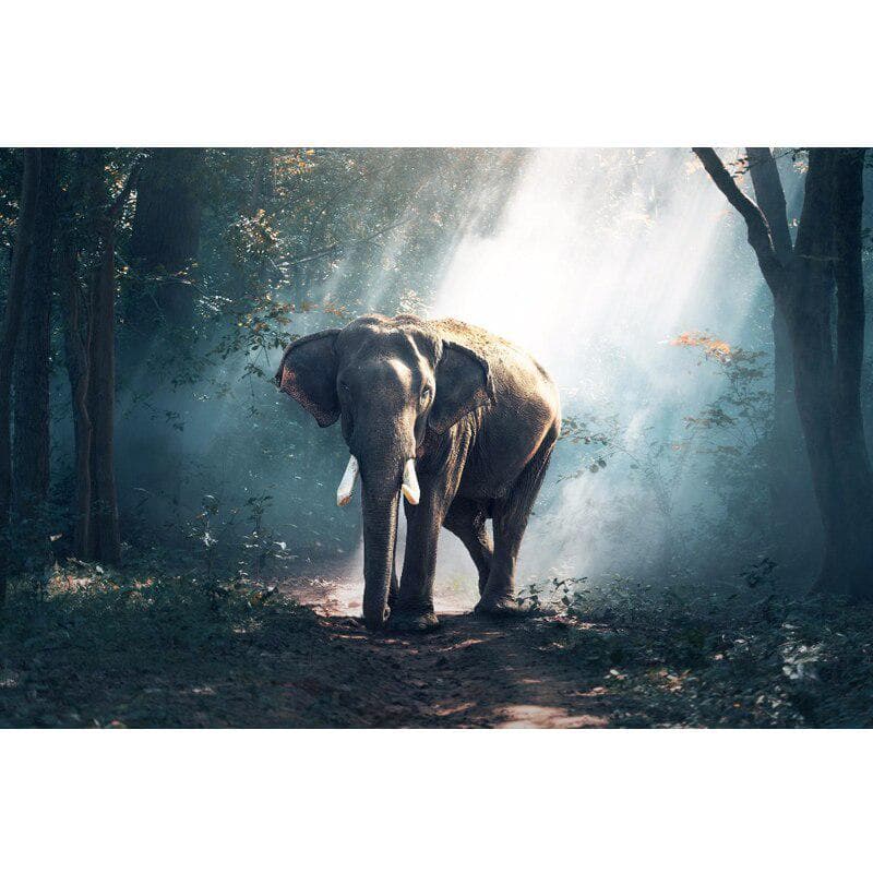 Rhinestone Embroidery Handicrafts Diamond Painting DIY Diamond Embroidery Elephant Forest Wall Arts 20X30CM