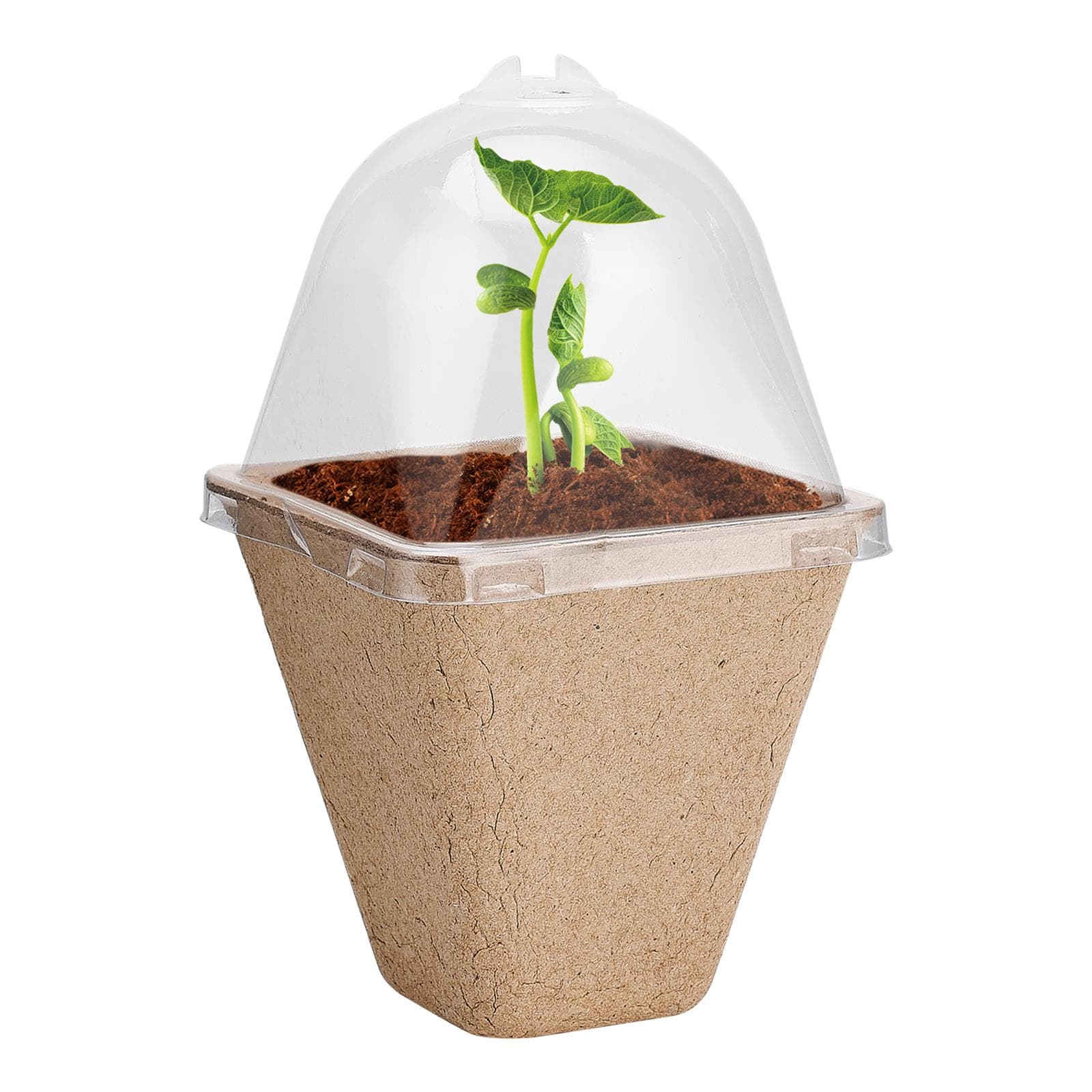 Seedling Cup Biodegradable Planter Pots With Humidity Dome Plant Nursery Pots