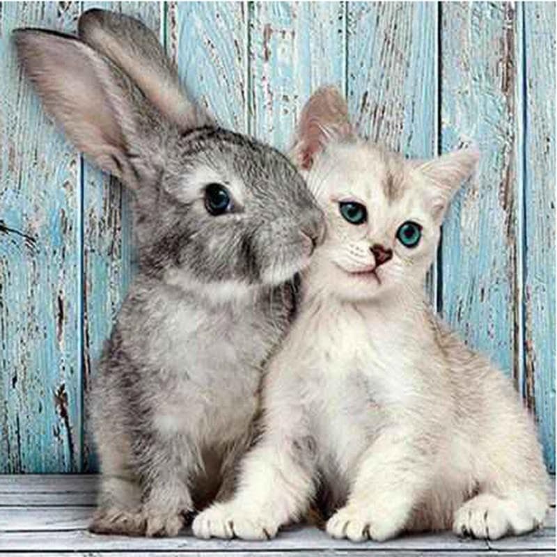 5D DIY Diamond Painting Animal Rabbit and cat Diamond Embroidery Diamond Mosaic Decor Home Gift 30X30CM