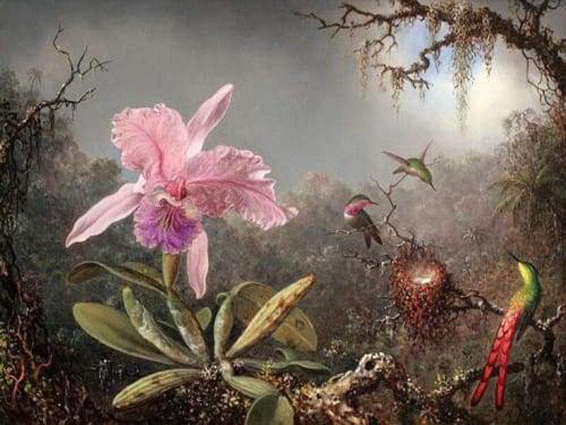 Embroidery Painting Diamond Embroidery Embroidery Handicrafts Painting Kit Orchids And Hummingbird 20X30CM