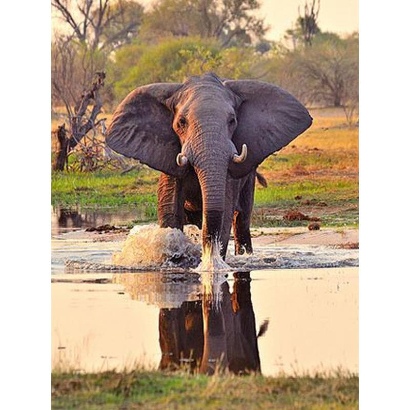 Diamond Painting Full Drill Elephant Broderie Diamant Cartoon Diamond Cross Stitch 20X30CM