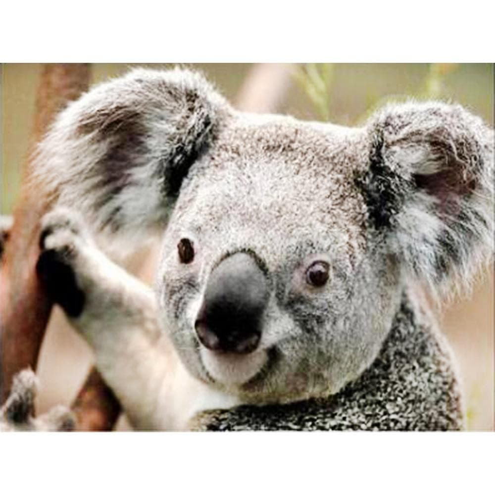 Diamond 5D Diamond Painting Koala Diamond Embroidery Cross Stitch Rhinestone Mosaic Painting 20X30CM
