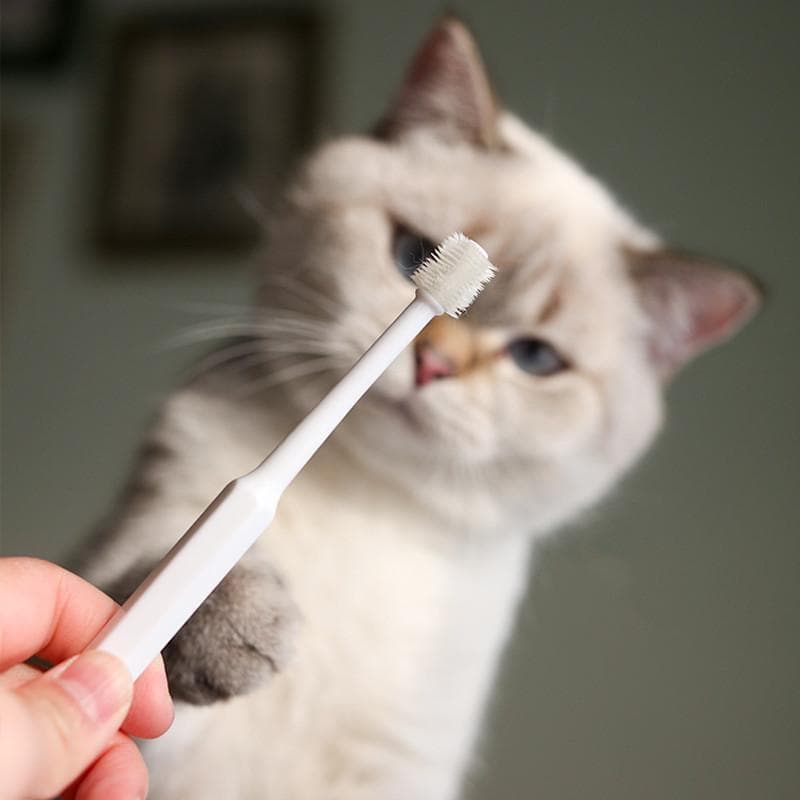 Cat Toothbrush Soft Hair Brush for Cats Mouth Cleaning Cat Brush for Teeth Cleaning Pet Grooming Cats Toothbrush Pet Products white