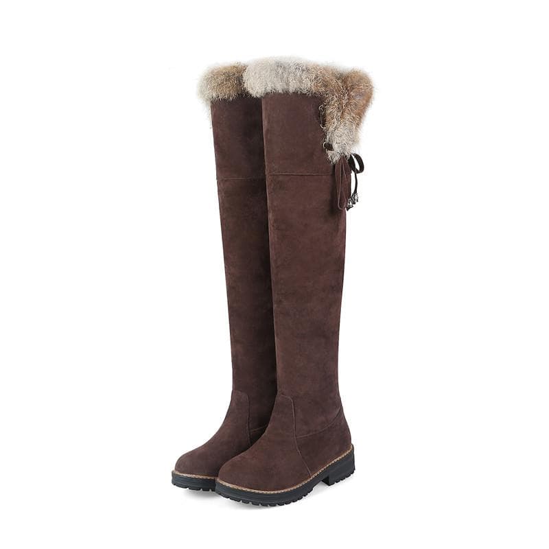 Hot Warm Snow Boots Women 2024 Winter Shoes Warm Fur Plush Over Knee High Boot Ladies Casual Low Rubber Heels Long Shoes Female 40 brown